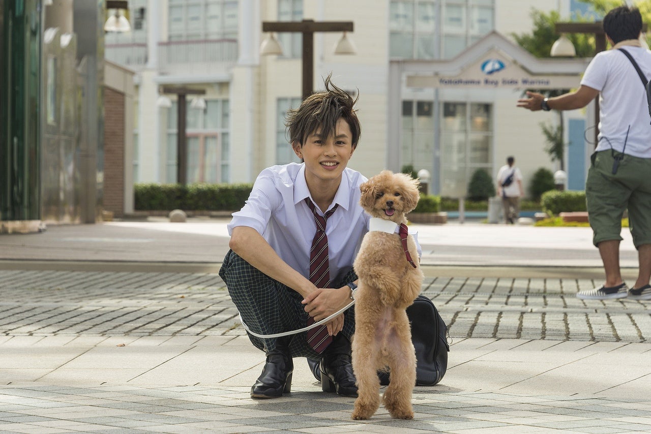 草川拓弥（C）2017「兄こま」製作委員会（C）夜神里奈／小学館