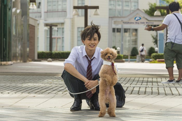 草川拓弥(C)2017「兄こま」製作委員会(C)夜神里奈/小学館