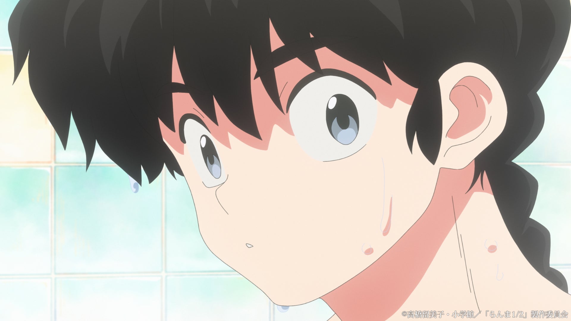 「らんま1/2」第1弾PV（C）高橋留美子・小学館／「らんま 1/2」製作委員会