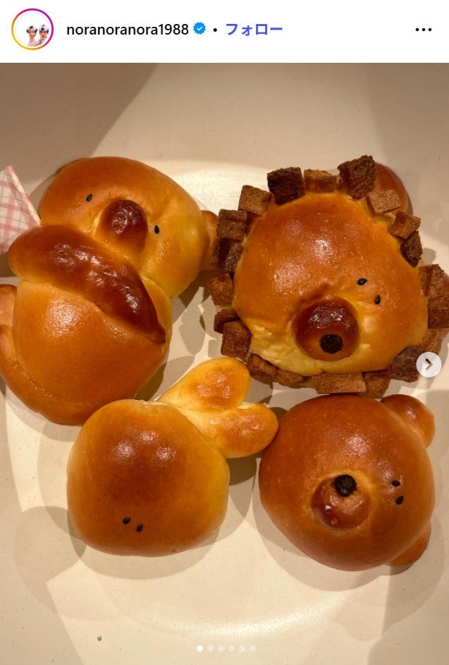 平野ノラInstagramより