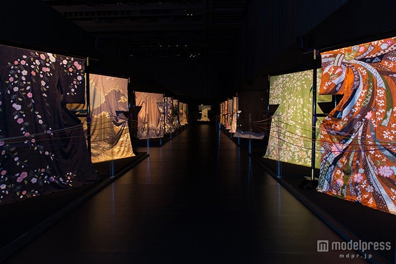 「和桜並木道」イメージ