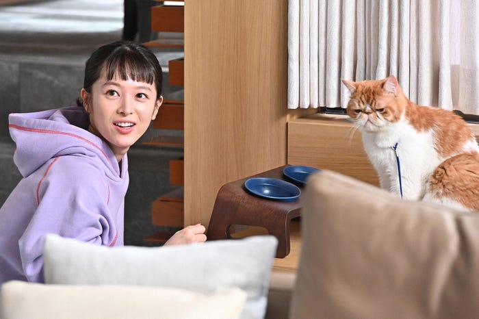 清野菜名/「婚姻届に判を捺しただけですが」第5話より(C)TBS