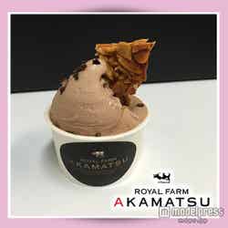 ロイヤルファームアカマツ(香川県)BurningChocolate/画像提供:ジェラートワールドツアー東京事務局