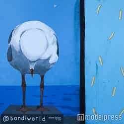 キュートなカモメのウォールアート(C)モデルプレス