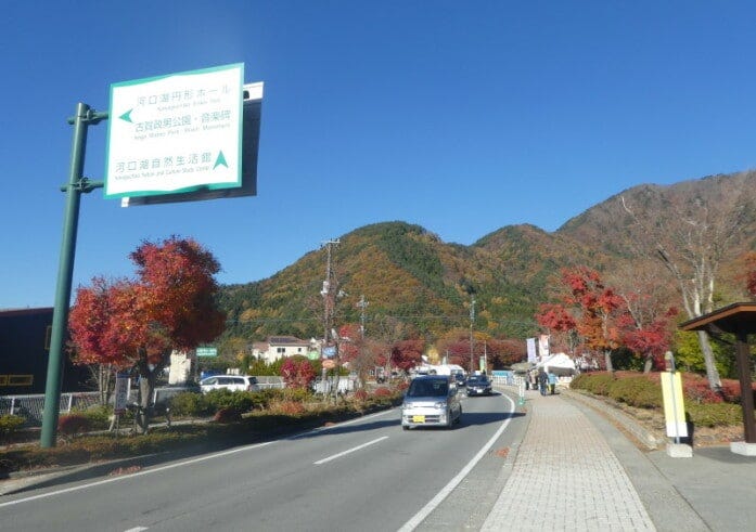 河口湖・美術館通りの紅葉(2017年11月12日撮影)