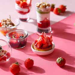 ストロベリー デザート ブッフェ/画像提供:マリオット・インターナショナル