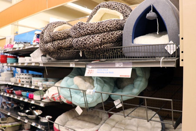 petco_23.jpg