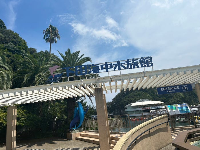 松本旭平「真夏の水族館」(提供写真)