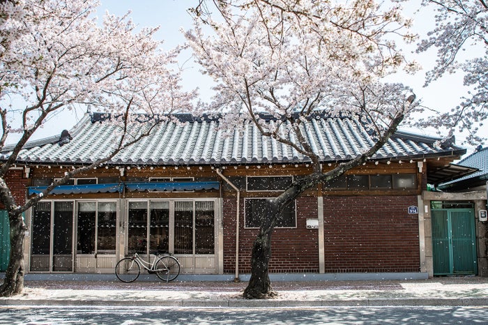 皇理団キル/画像提供:韓国観光公社