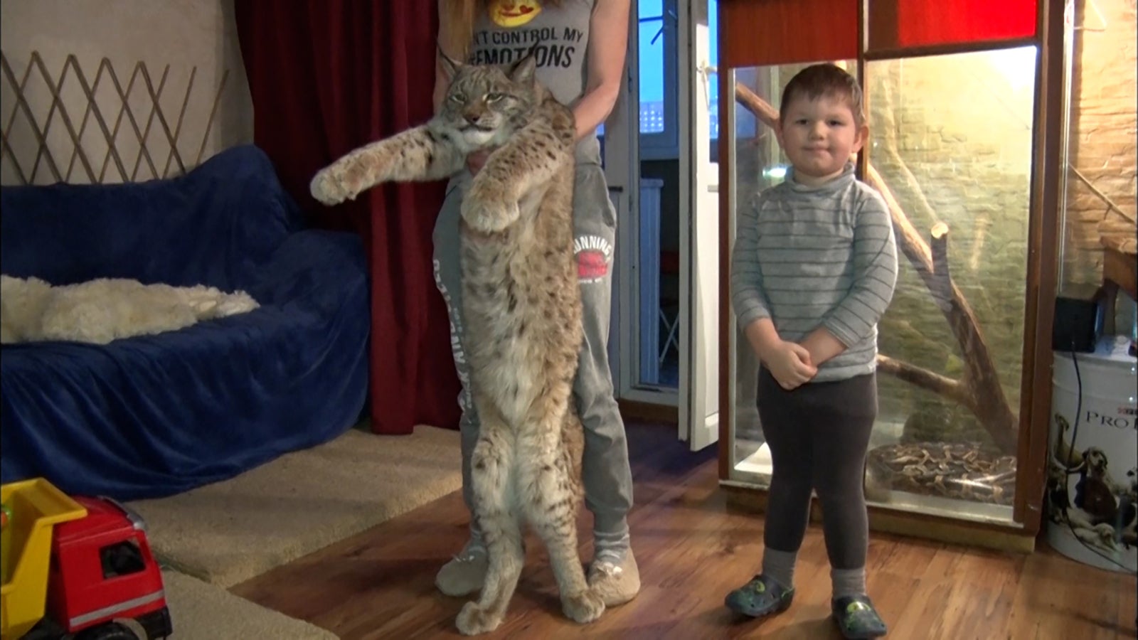 「笑える！泣ける！動物スクープ100連発」（C）TBS