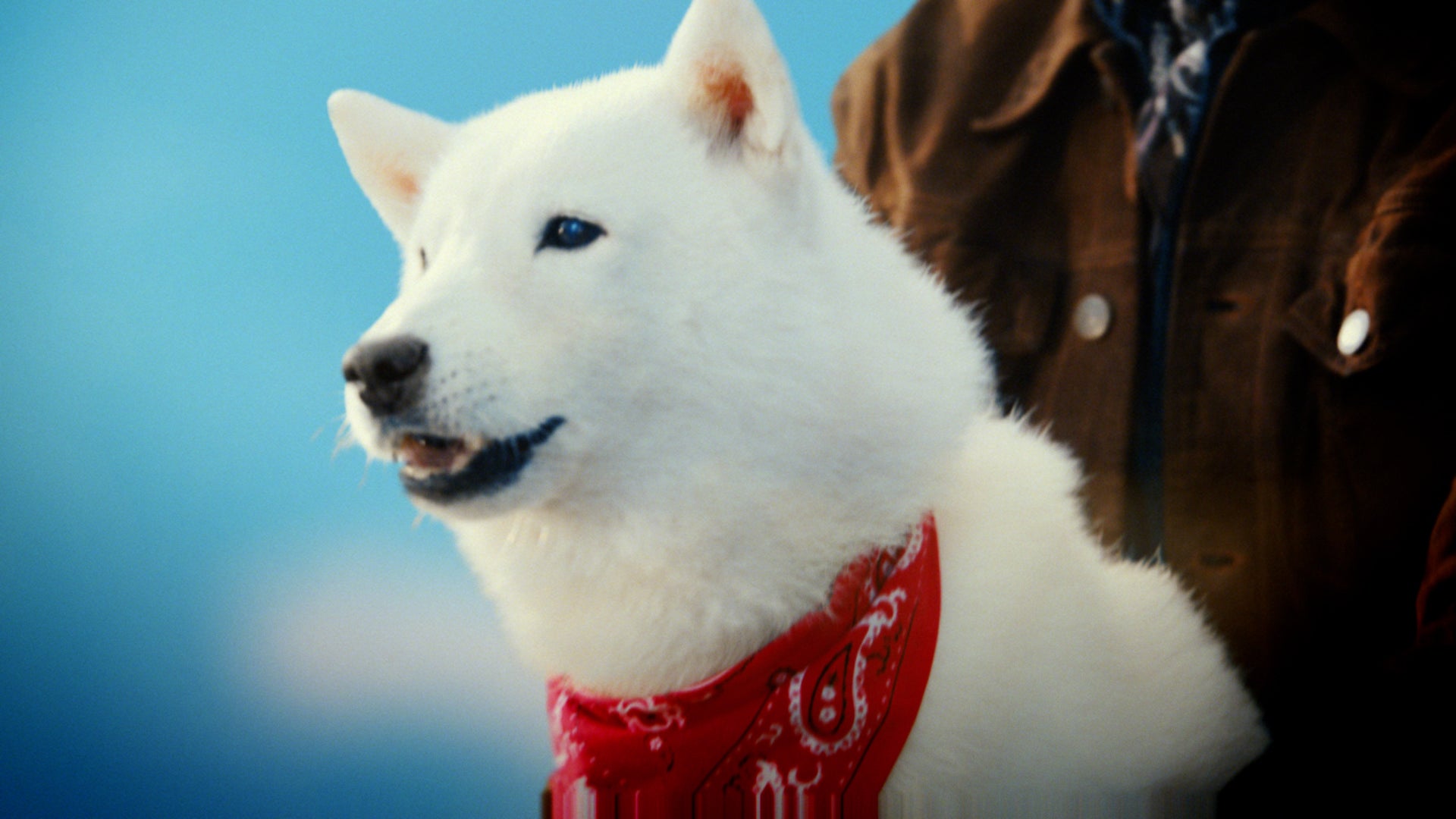 ソフトバンク新テレビCM「スマホデビュー祭」篇（提供写真）