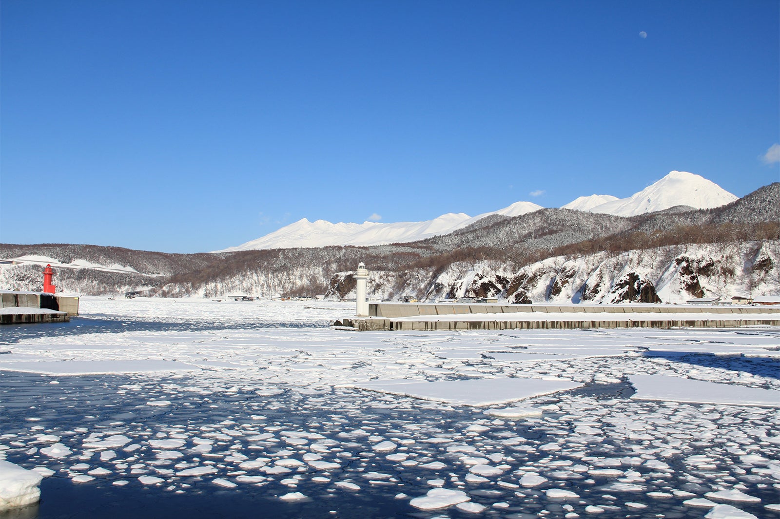 知床の流氷（提供写真）