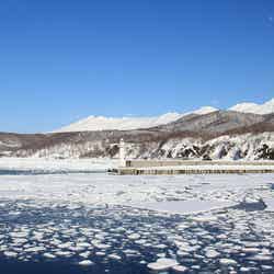 知床の流氷(提供写真)
