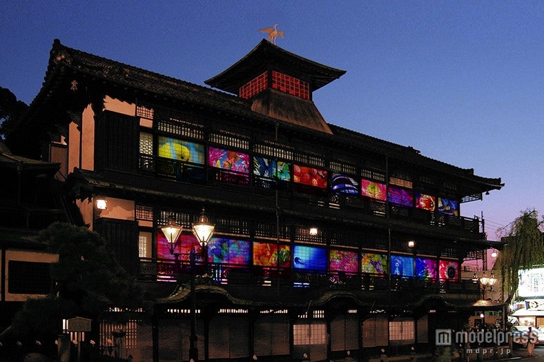 温泉宿が幻想的な“蜷川カラー”にライトアップ カラフルな花々が彩る