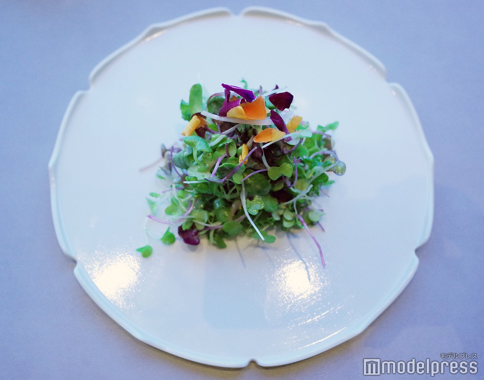 ふふ 軽井沢 陽光の風（C）モデルプレス