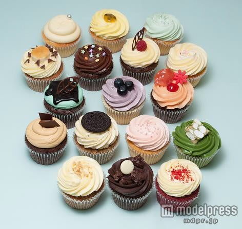 メニュー一例／画像提供：ボルテックス