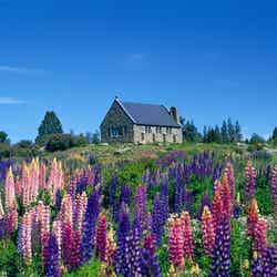 善き羊飼いの教会(12月撮影)/画像提供:JTBワールドバケーションズ