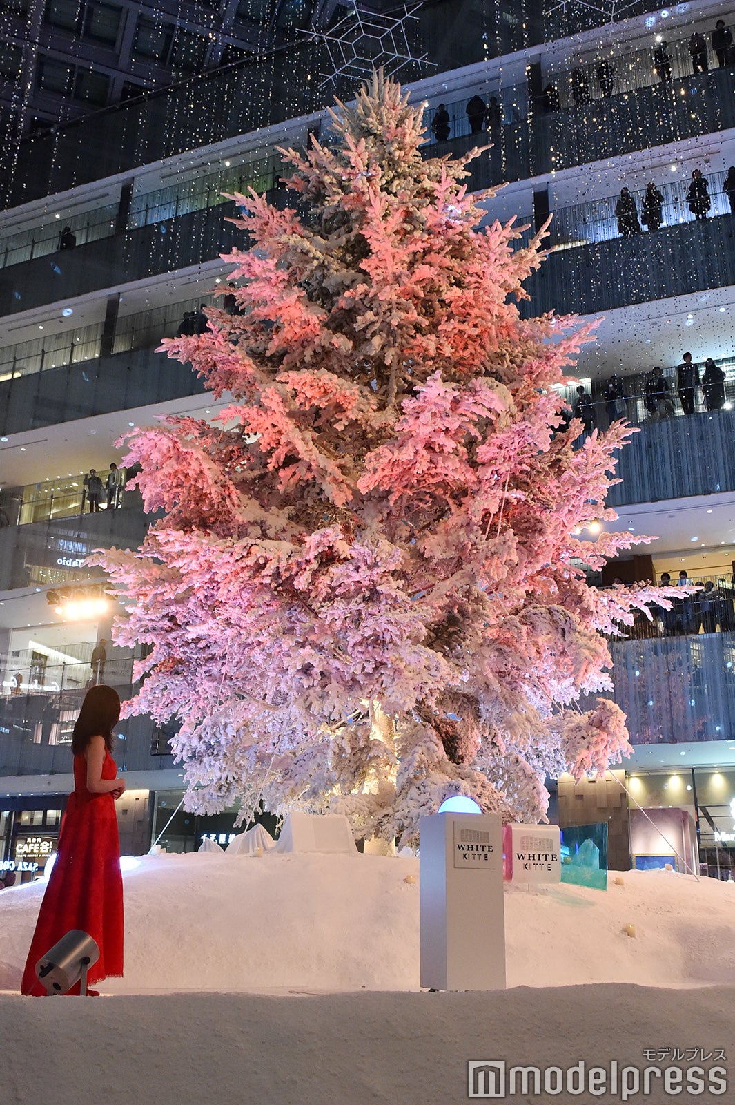 上戸彩（C）モデルプレス