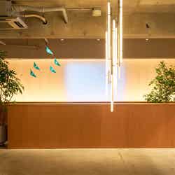 タカオネ/画像提供:京王電鉄