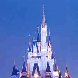 東京ディズニーランド・シンデレラ城夜景（C）Disney