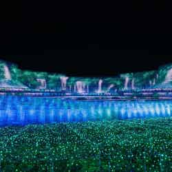 なばなの里 イルミネーション/画像提供:ぴあ