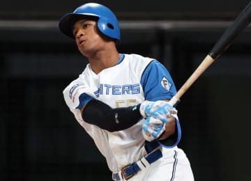 日本ハム 台湾遠征メンバー発表 27日に台湾代表、28日に味全ドラゴンズと対戦【参加メンバー一覧】