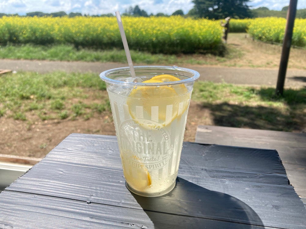 東京サマーランド（提供画像）