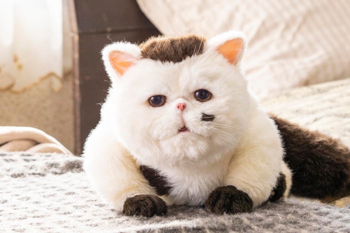 神木隆之介 おじさまと猫 ふくまるの声優に決定で期待の声 モデルプレス