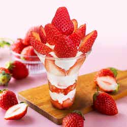 Yokohama Strawberry Festival 2025/提供画像