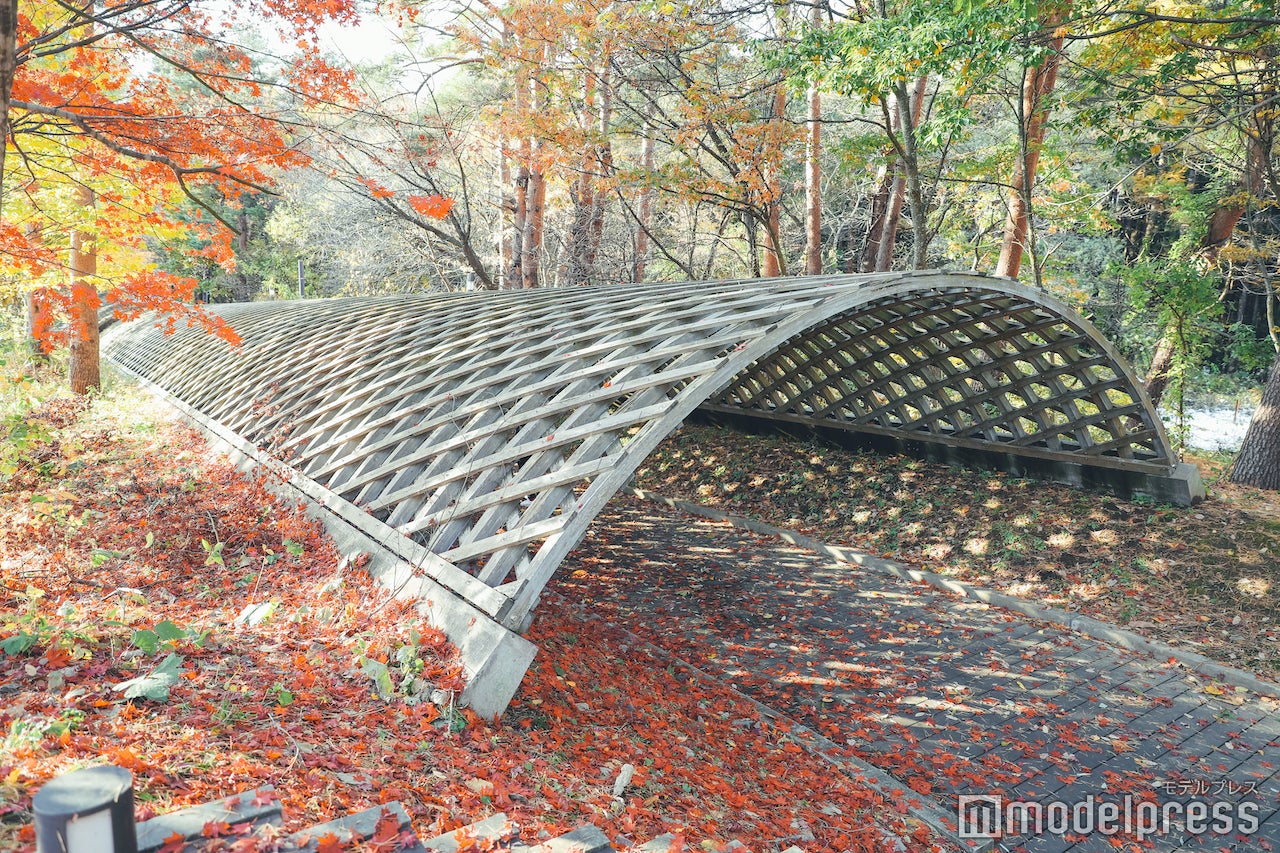 入り口にある四季のアーケード （C）モデルプレス