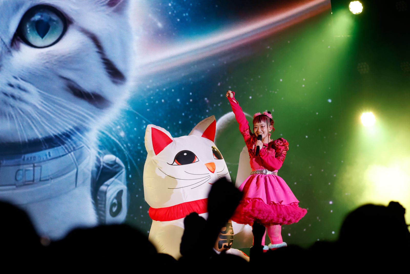 招き猫と詩羽／Photo by アンザイミキ