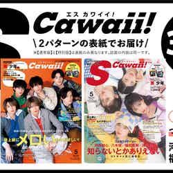 「S Cawaii!」5月号（イマジカインフォス、3月15日発売）表紙（提供写真）