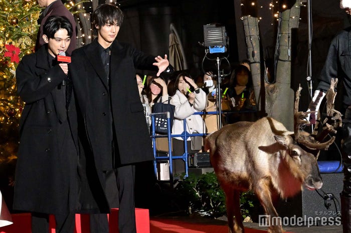 トナカイを見送る吉沢亮、中川大志 (C)モデルプレス