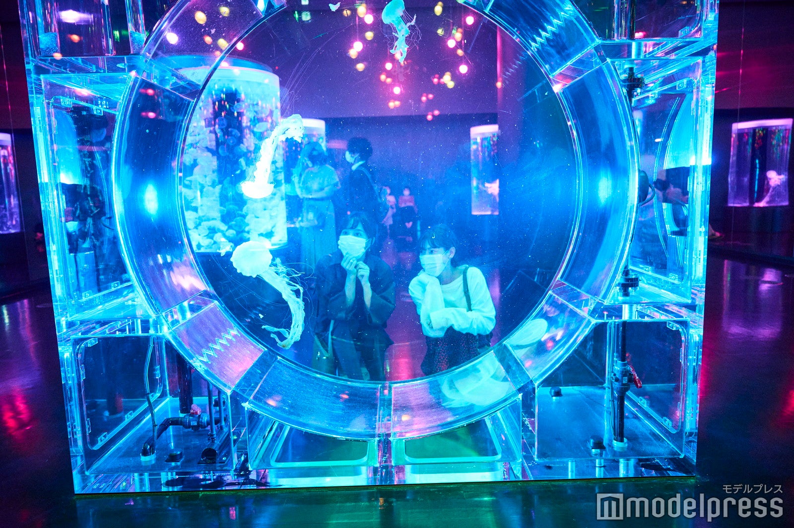 マクセル アクアパーク品川（C）モデルプレス