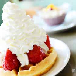 南国ムードの海カフェでハワイアンな朝ごはん