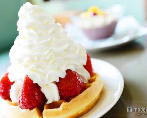 南国ムードの海カフェでハワイアンな朝ごはん