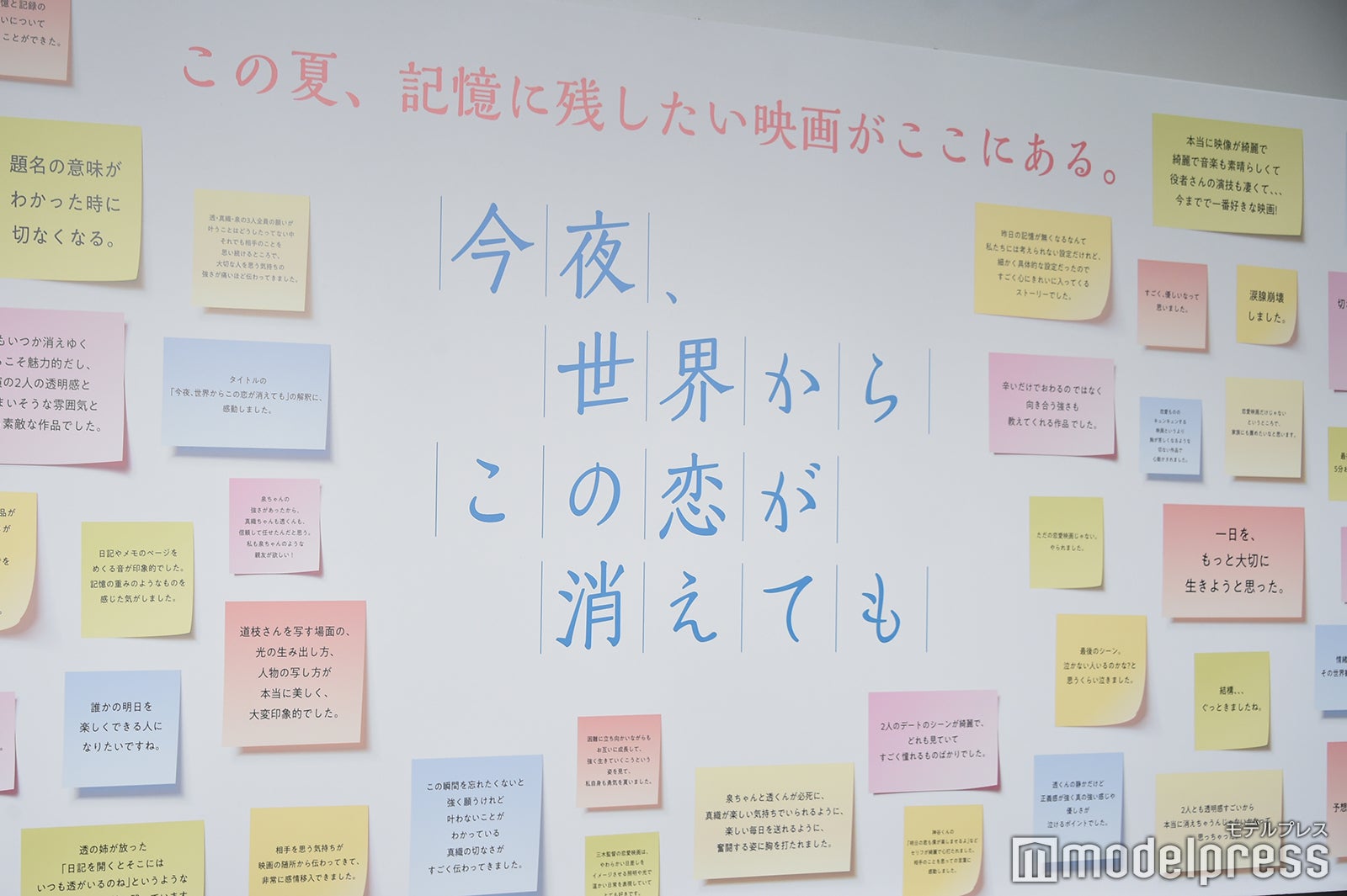 観客からの感想コメントが書かれた特大パネル（C）モデルプレス