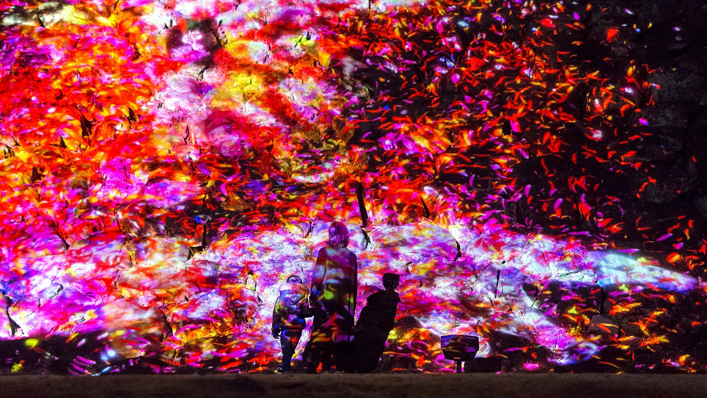 福岡城 チームラボ 城跡の光の祭／画像提供：チームラボ