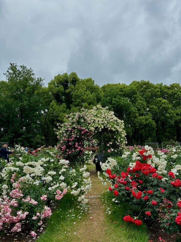 山下伶亜奈「私の最近のマイブーム」(提供写真)