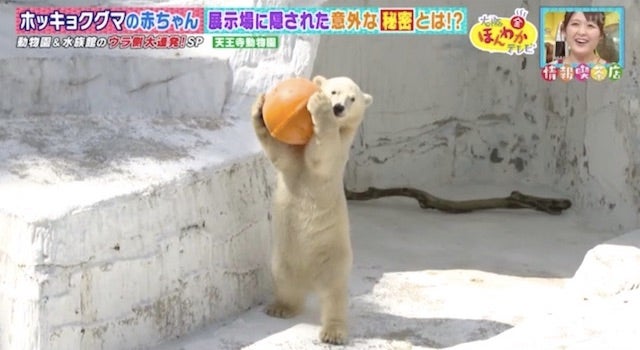 カワイイ姿がSNSで話題に…！人気の動物園・水族館のウラ側