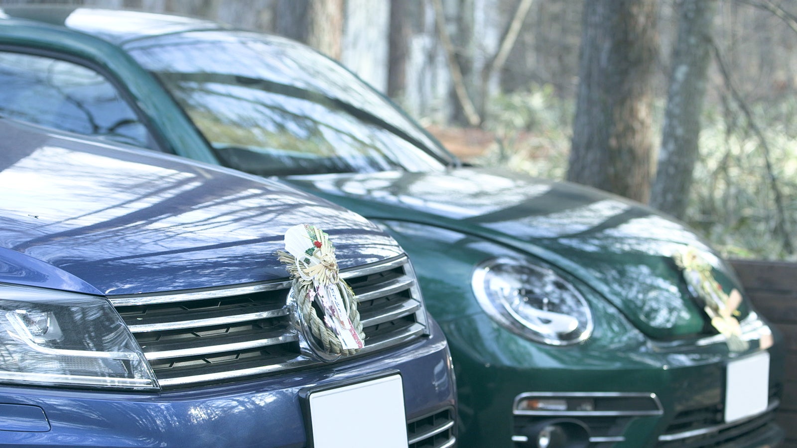 「TERRACE HOUSE OPENING NEW DOORS」12th WEEK（C）フジテレビ／イースト・エンタテインメント