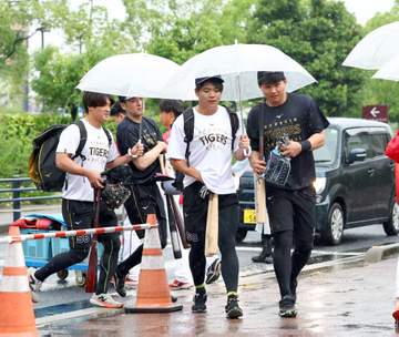 阪神 雨天中止3日連続は20年以来 後半戦にどう影響？ 93年はシーズン27試合中止