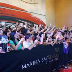 映画「謎解きはディナーのあとで」レッドカーペット