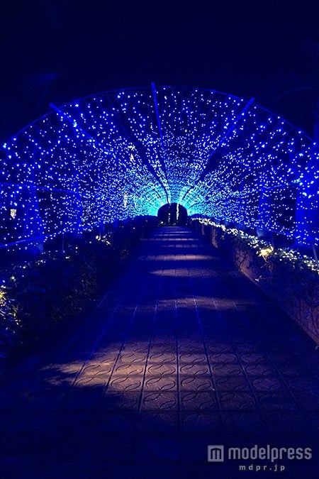 光のトンネル／画像提供：沖縄市役所経済文化部文化観光課