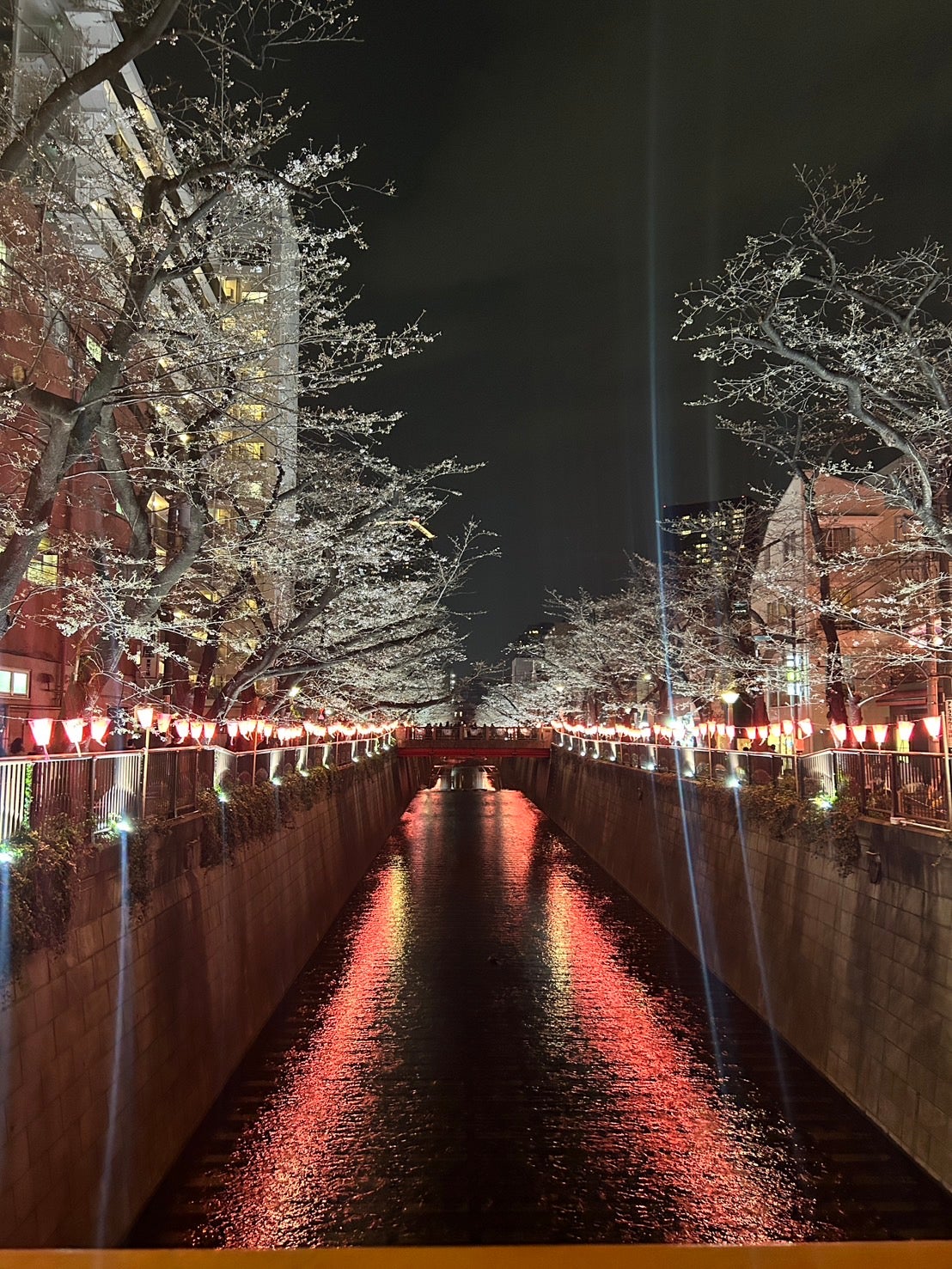 舩木菜々「自分をパワーアップさせる為に始めたこと」（提供写真）