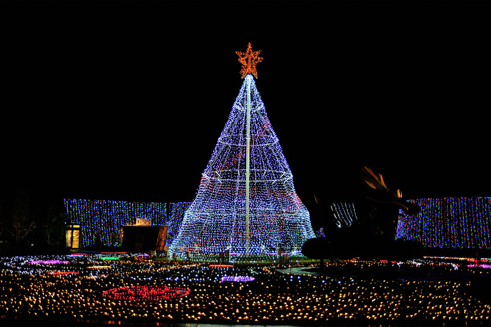 シンボルツリー／画像提供：国営讃岐まんのう公園