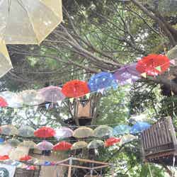 梅雨のお出かけは虹色の“傘の森”へ!千葉「椿森コムナ」を200本の傘がカラフルに埋め尽くす/画像提供:拓匠開発