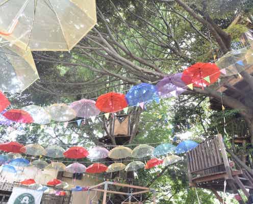 梅雨のお出かけは虹色の“傘の森”へ!千葉「椿森コムナ」を200本の傘がカラフルに埋め尽くす