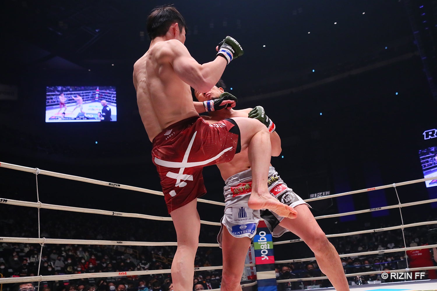 弥益ドミネーター聡志、朝倉未来（C）RIZIN FF