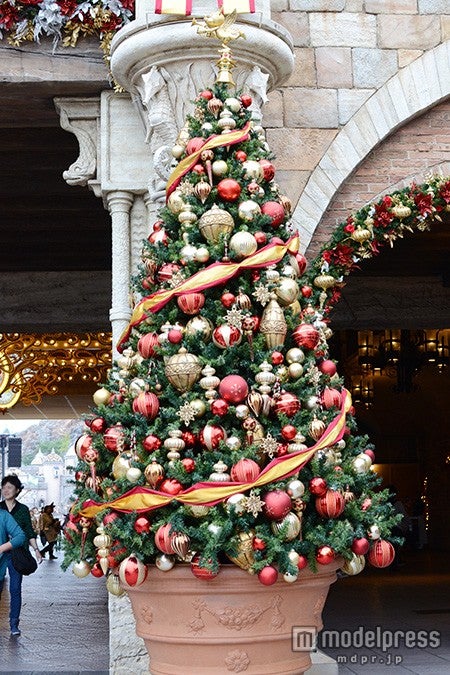 エントランスのツリー